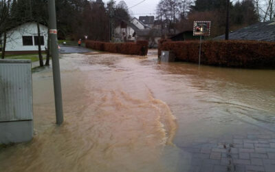Überschwemmung – 2012.12.23