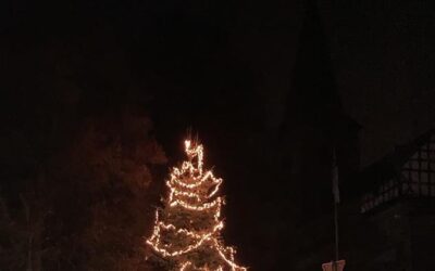 Weihnachtsbaum 2022